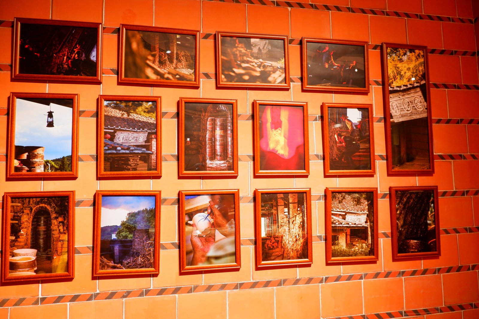 company introduction -测试